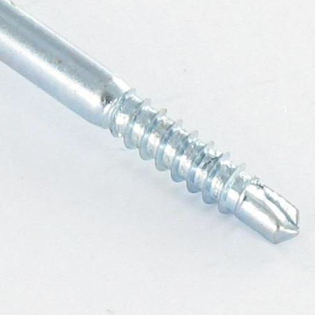 1 x Vis autoperceuse Tête cylindrique bombée TCB Phillips 2.9X29 Acier zingué