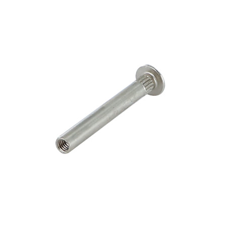 1 x Ecrou Relieur Tête Poelier POZI et fendu M4X15 5X40 Acier nickelé
