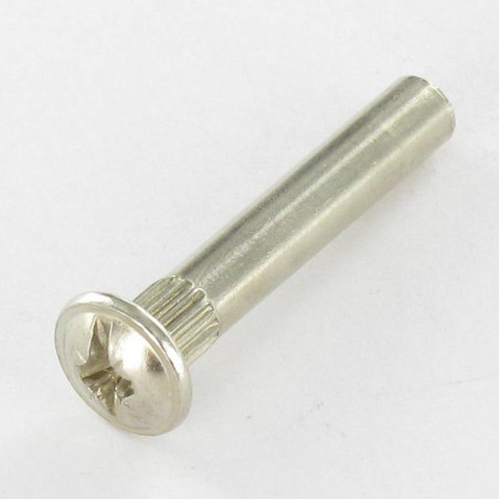 1 x Ecrou Relieur Tête Poelier POZI et fendu M4X15 5X35 Acier nickelé