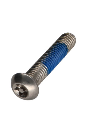 Vis métaux Inox A2 Inviolable Tête bombée TORX T40 avec téton M8X40 Frein filet