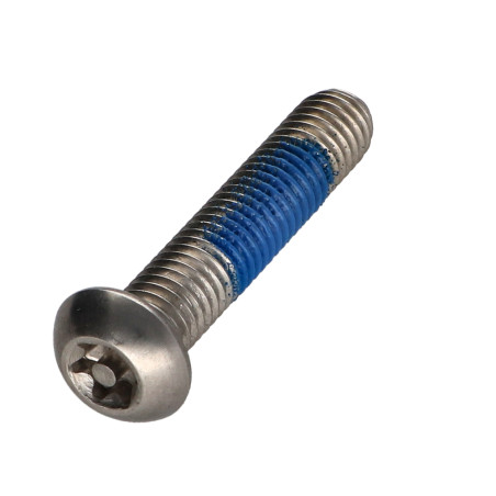 1 x Vis métaux Inox A2 Inviolable Tête bombée TORX T40 avec téton M8X40 Frein filet