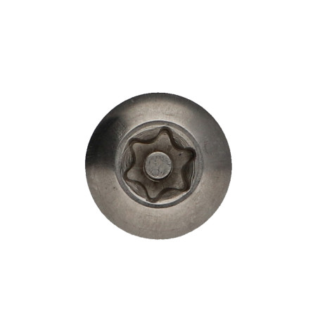 1 x Vis métaux Inox A2 Inviolable Tête bombée TORX T40 avec téton M8X40 Frein filet