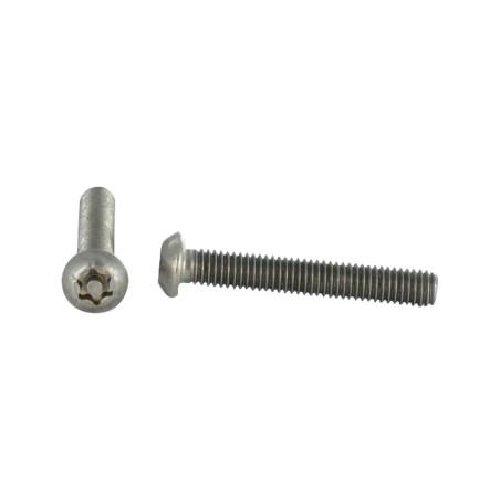 1 x Vis métaux Inox A2 Inviolable Tête bombée TORX T40 avec téton M8X65