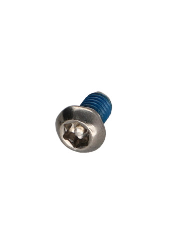 Vis métaux Inox A2 Inviolable Tête bombée TORX T30 avec téton M6X10+ Frein filet