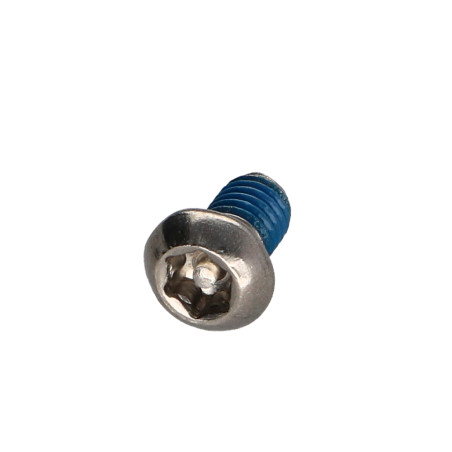 1 x Vis métaux Inox A2 Inviolable Tête bombée TORX T30 avec téton M6X10+ Frein filet