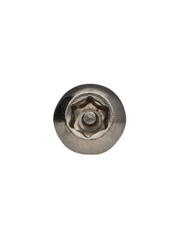 Vis métaux Inox A2 Inviolable Tête bombée TORX T30 avec téton M6X10+ Frein filet