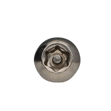 1 x Vis métaux Inox A2 Inviolable Tête bombée TORX T30 avec téton M6X10+ Frein filet