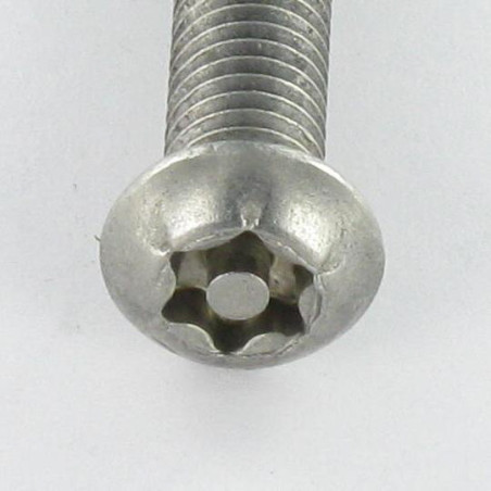 1 x Vis métaux Inox A2 Inviolable Tête bombée TORX T45 avec téton M10X50