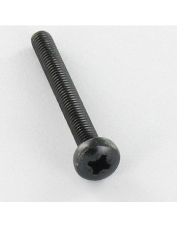 Vis métaux Inox A2 tête cylindrique bombée large Pozi N°2 M5X20 Noir