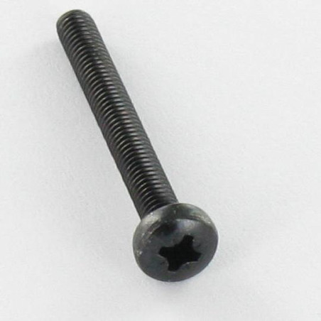 1 x Vis métaux Inox A2 tête cylindrique bombée large Pozi N°2 M5X20 Noir