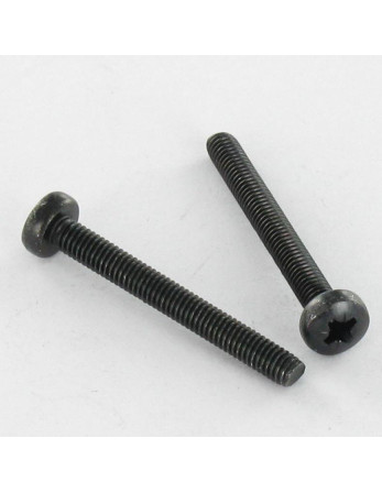Vis métaux Inox A2 tête cylindrique bombée large Pozi N°2 M5X25 Noir