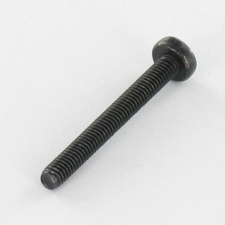 1 x Vis métaux Inox A2 tête cylindrique bombée large Pozi N°2 M5X25 Noir