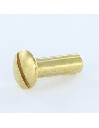 Ecrou Relieur Tête bombée Fendue M4X12 5X16 Laiton