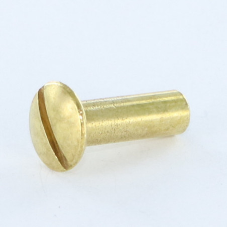 1 x Ecrou Relieur Tête bombée Fendue M4X12 5X16 Laiton