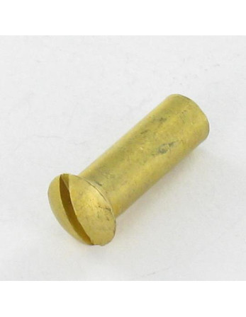 Ecrou Relieur Tête fraisée bombée TFB Fendue M4X12 5X16 Laiton