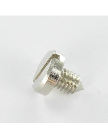 Vis métaux Acier nickelé Tête cylindrique large TCL Fendue 8X8.3 Bout pointeau