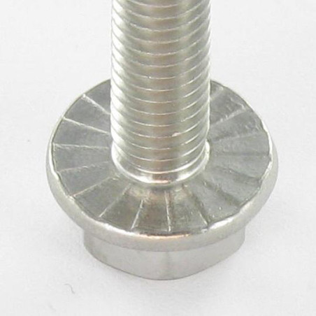 1 x Vis métaux Tête hexagonale TH Embase collerette crantée M8X65 Inox A4