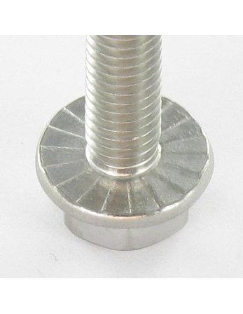 Vis métaux Tête hexagonale TH Embase collerette crantée M10X65 Inox A4