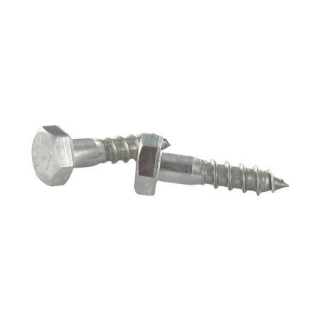 1 x Tirefonds Inox A2 10X60