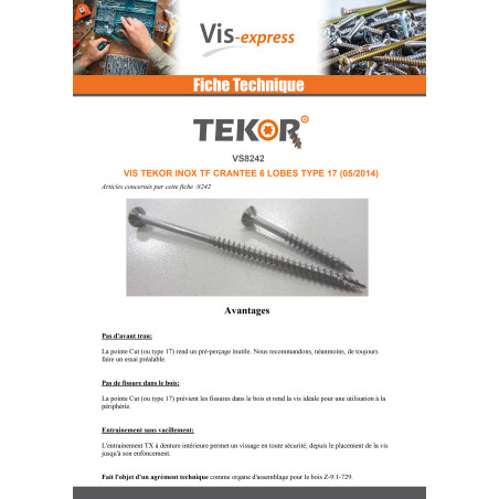1 x Vis bois TEKOR Inox A2 Tête fraisée Cranté TORX T10 3X40 Filetée sur 24 Pointe antifendage type 17 microvis