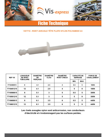 Rivet Aveugle Tête Plate Nylon Polyamide 6.6 4X8