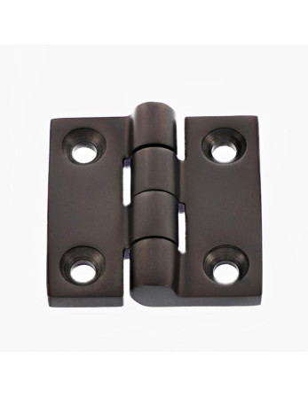 Charnière Carrée 38X38 Inox A4 Noir