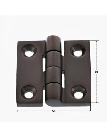 Charnière Carrée 50X50 Inox A4 Noir