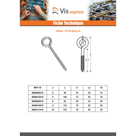 1 x Piton Bois Inox A4 6X100 Filetée sur 54 Oeil 14