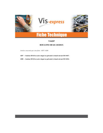 Boulon (vendu avec Ecrou) Tête hexagonale TH M24X140 Classe 8.8 SB Forte tenue à la corrosion Acier galvanisé à