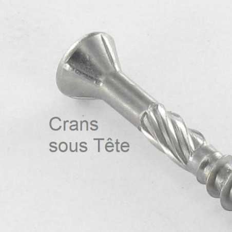 1 x Vis DECK TEKOR Tête fraisée bombée TFB TORX T25 5X60 Pointe antifendage type 17 Inox C2