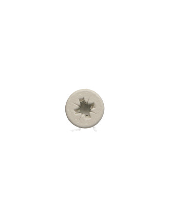VBA Vis bois agglo Inox A2 Tête fraisée Pozi 4X20 Laqué blanc 9010