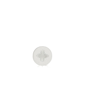 VBA Vis bois agglo Inox A2 Tête fraisée Pozi 4X20 Laqué blanc 9016