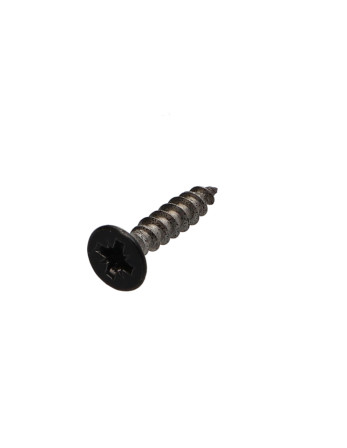 VBA Vis bois agglo Inox A2 Tête fraisée Pozi 4X20 Laqué noir