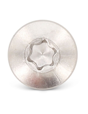 Vis autoperceuse Tête cylindrique TC 3.9X50 TORX T15 Inox AISI 410