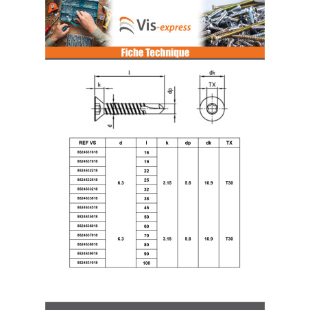 1 x Vis autoperceuse Tête fraisée 6.3X16 TORX T30 Inox AISI 410