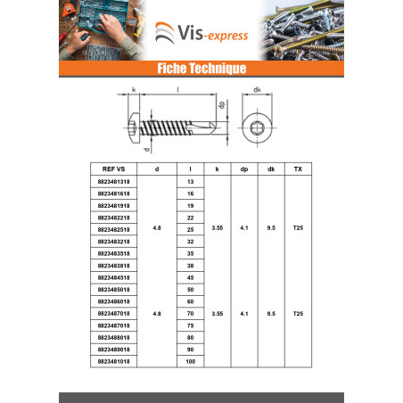 1 x Vis autoperceuse Tête cylindrique TC 2.9X13 TORX T8 Inox AISI 410