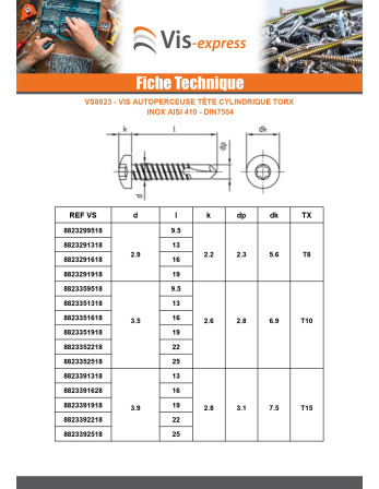 Vis autoperceuse Tête cylindrique TC 4.2X50 TORX T20 Inox AISI 410