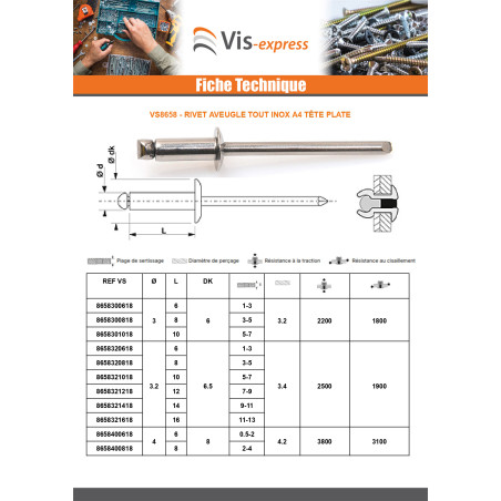 1 x Rivet Aveugle Tout Inox A4 Tête plate 4X10