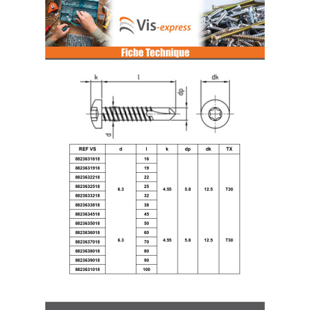 1 x Vis autoperceuse Tête cylindrique TC 6.3X100 TORX T30 Inox AISI 410
