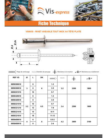 Rivet Aveugle Tout Inox A4 Tête plate 4X18