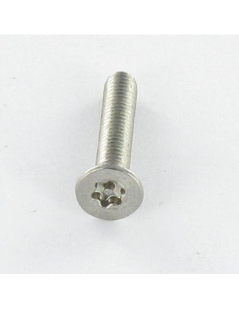 Vis métaux Inox A2 Inviolable Tête fraisée TORX T20 + Téton 4X6