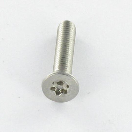 1 x Vis métaux Inox A2 Inviolable Tête fraisée TORX T20 + Téton 4X6