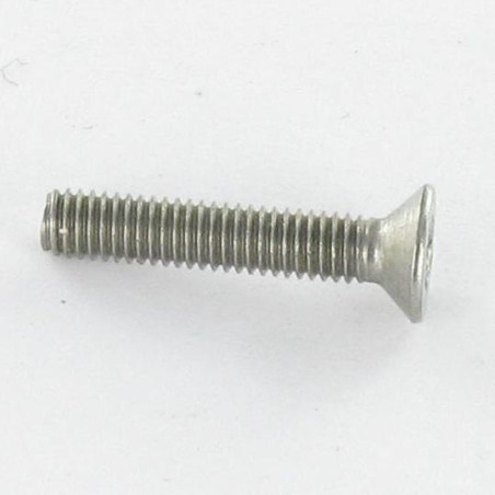 1 x Vis métaux Inox A2 Inviolable Tête fraisée TORX T20 + Téton 4X6