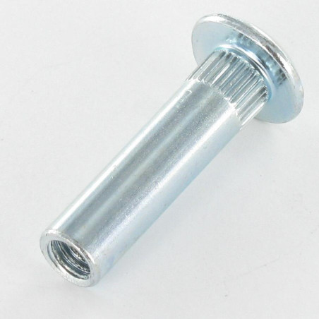 1 x Ecrou Relieur POZI et fendu 8X31 M6X15 Acier zingué
