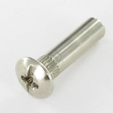 1 x Ecrou Relieur POZI et fendu 8X31 M6X15 AC. Acier nickelé