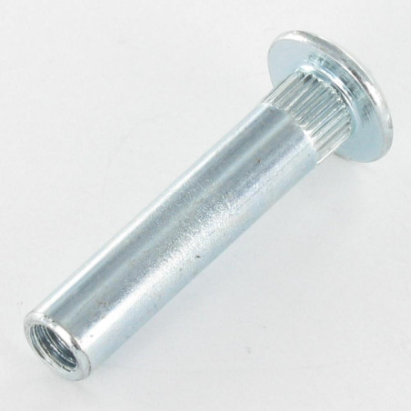 1 x Ecrou Relieur POZI et fendu 8X38 M6X15 Acier zingué