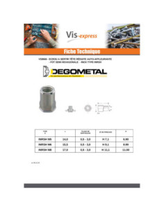 Ecrou Tête réduite SEMI Hexagonal M6X15.5 INRSH IN 2