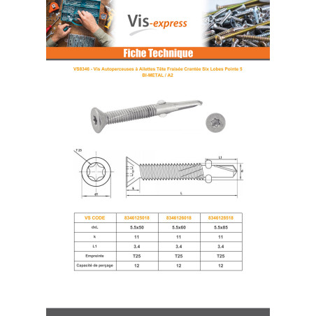 1 x Vis autoperceuse Bimétal Tête fraisée TORX T25 Foret Long 5.5X85
