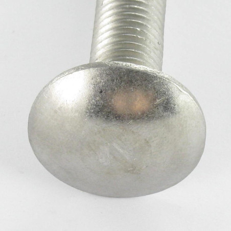 1 x TRCC JAPY tête ronde collet carré Inox A2 M12X60 Filetage partiel