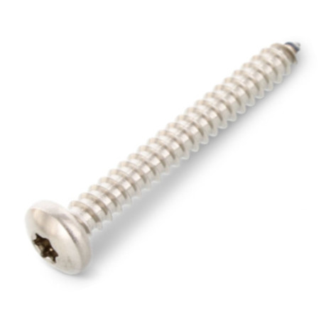 1 x Vis tôle Tête cylindrique bombée TCB 5.5X16 TORX T25 Inox A4